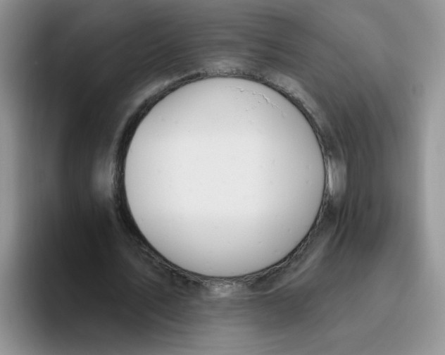 X0000093520579200711091741