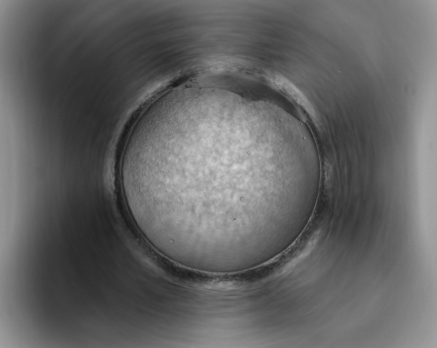 X0000093520581200711091741