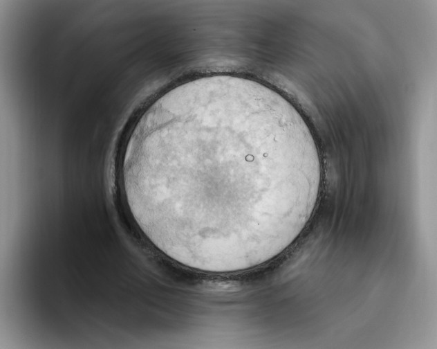 X0000093520582200711091741