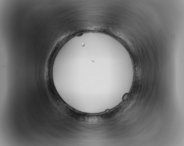 X0000093520587200711091741