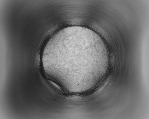 X0000093520589200711091741