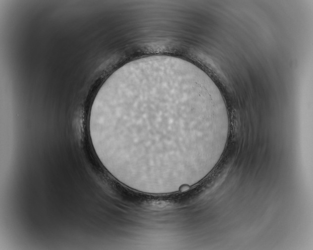 X0000093520590200711091741