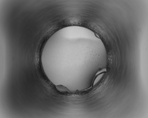 X0000093520593200711091741