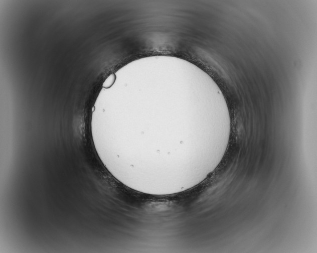 X0000093520595200711091741