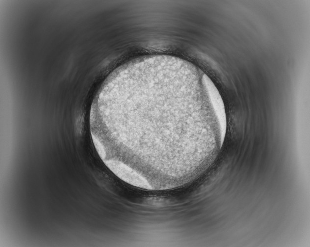 X0000093520596200711091741