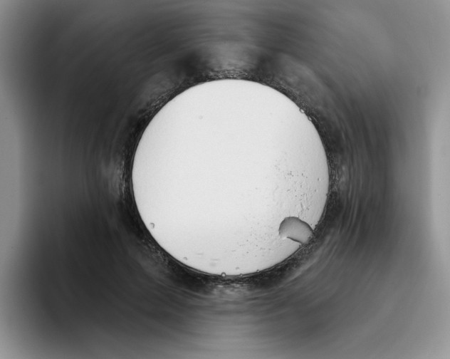 X0000093520599200711091741