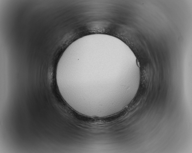 X0000093520600200711091741