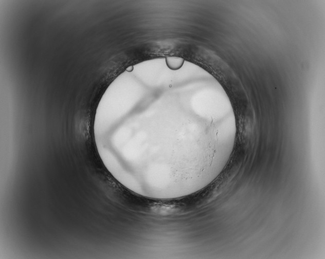 X0000093520602200711091741