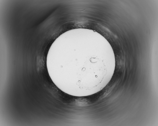 X0000093520603200711091741