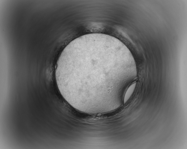 X0000093520604200711091741