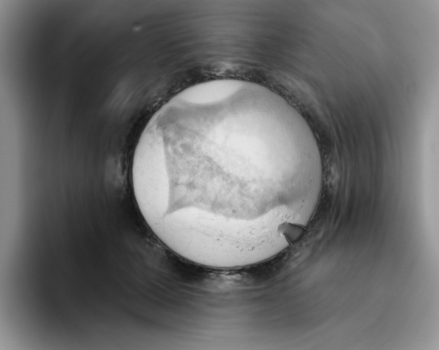 X0000093520607200711091741