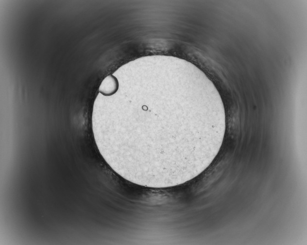 X0000093520608200711091741