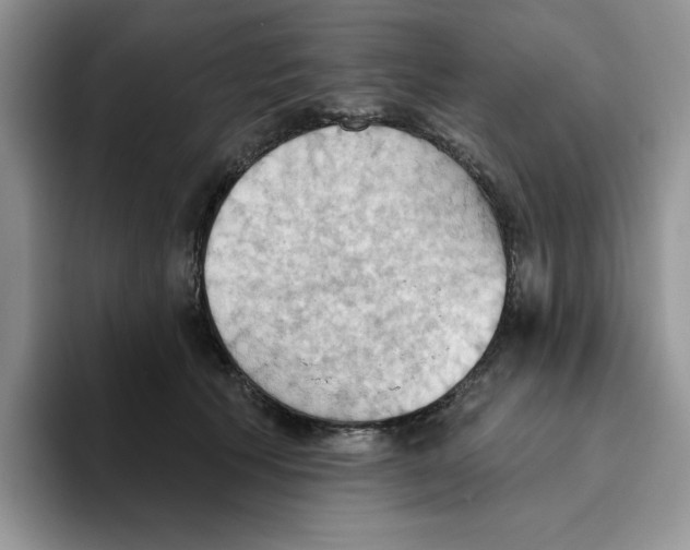 X0000093520609200711091741