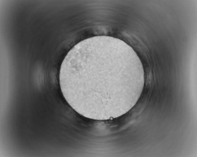 X0000093520616200711091740