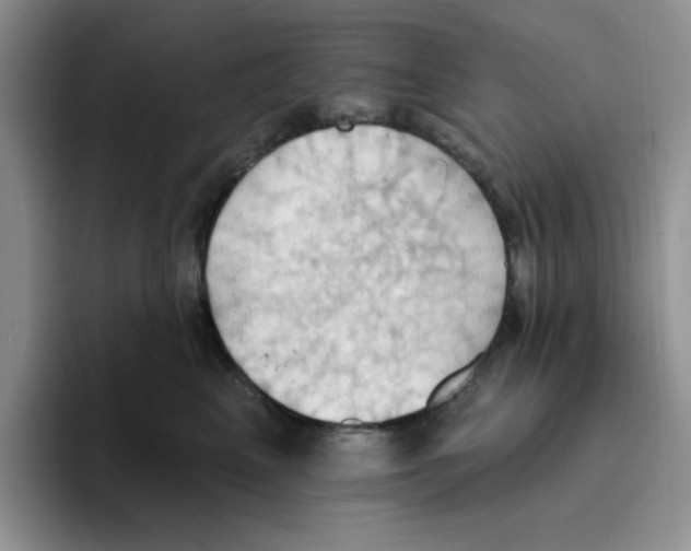 X0000093520617200711091740