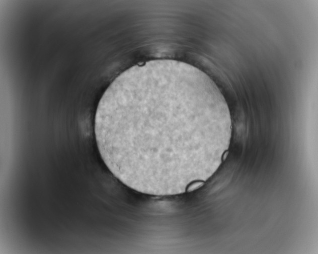 X0000093520620200711091740