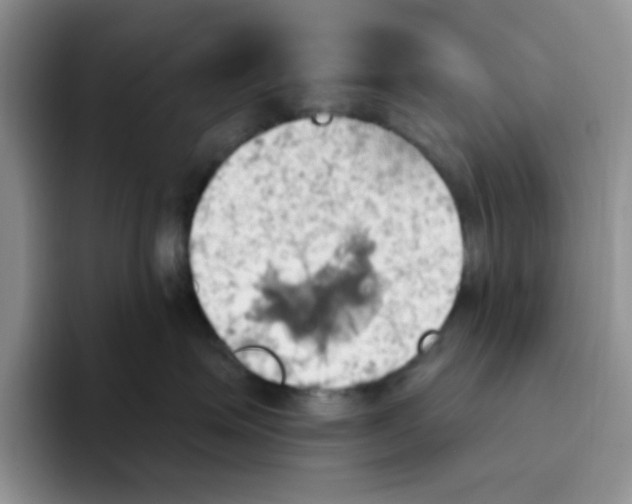 X0000093520623200711091740