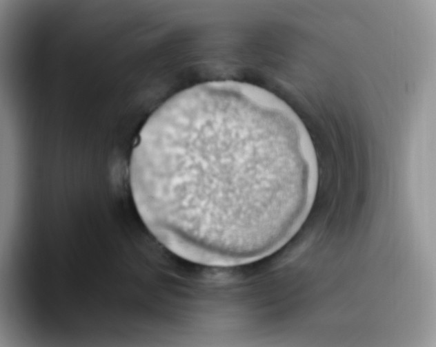 X0000093520624200711091740