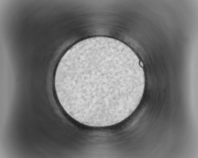 X0000093520625200711091740