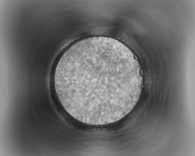 X0000093520626200711091740