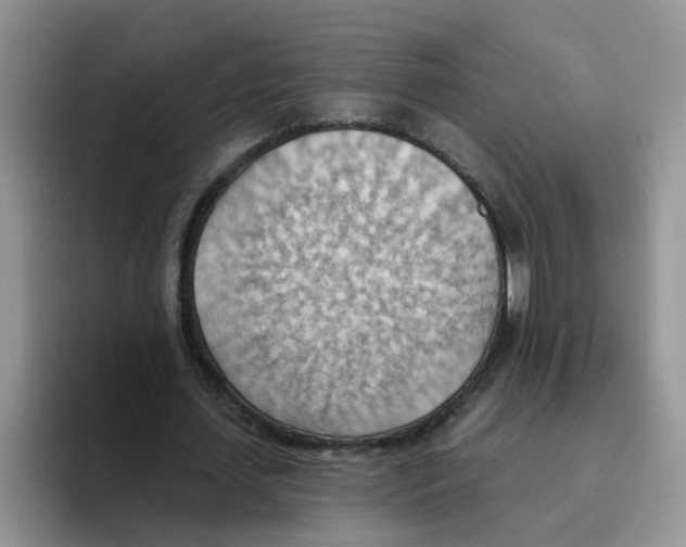 X0000093520627200711091740