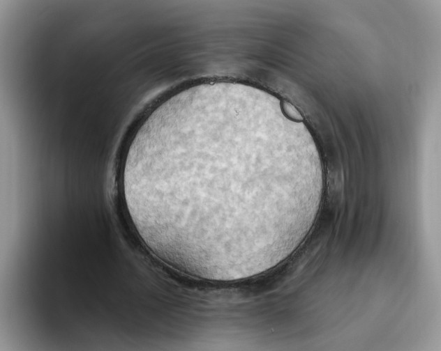 X0000093520628200711091740