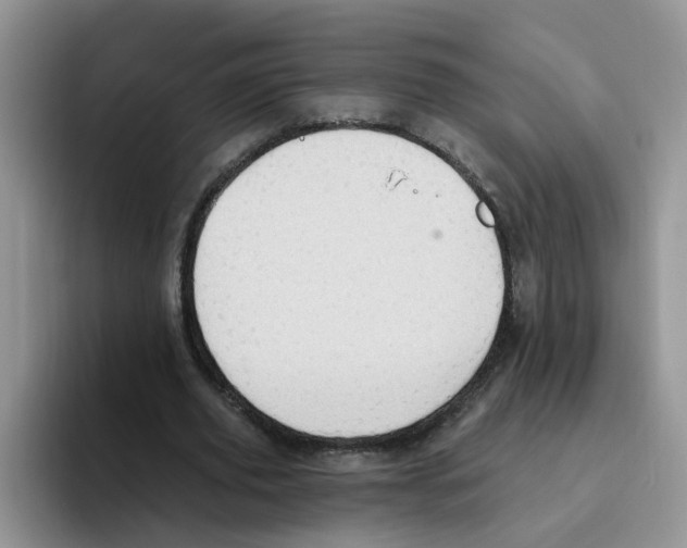 X0000093520629200711091740