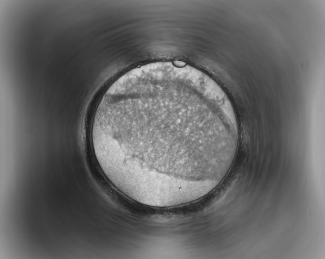 X0000093520630200711091740