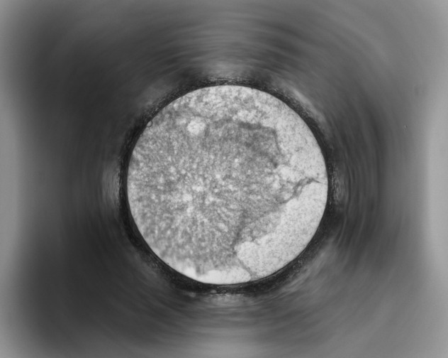 X0000093520637200711091740