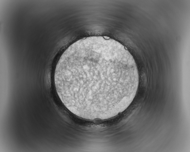 X0000093520638200711091740