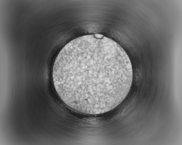 X0000093520639200711091740