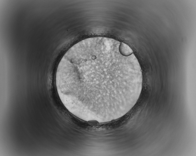 X0000093520640200711091740