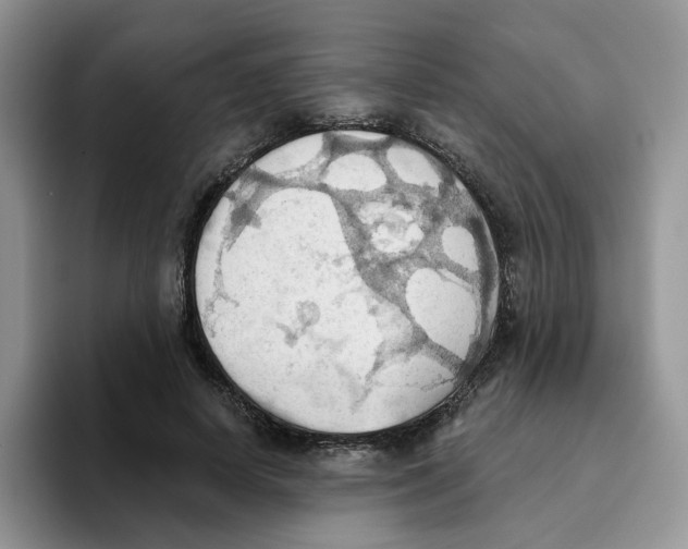 X0000093520642200711091740