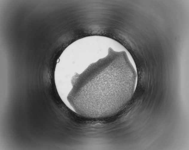 X0000093520643200711091740