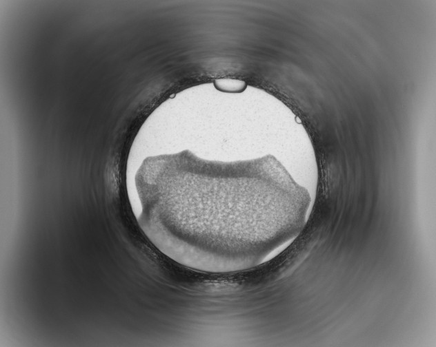 X0000093520644200711091740