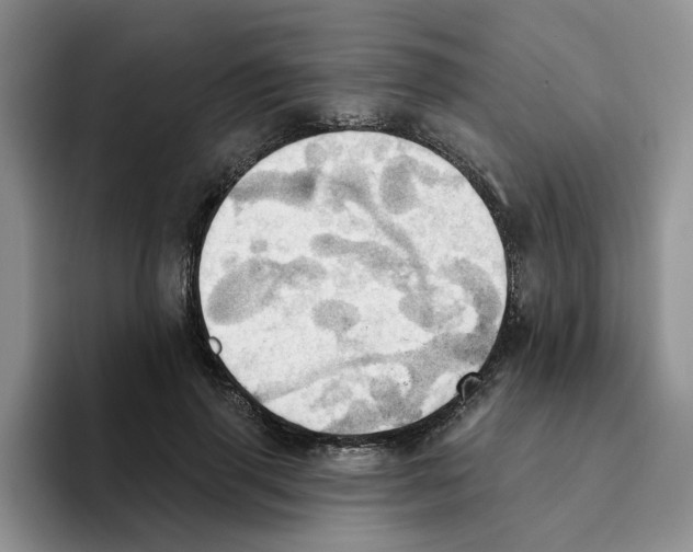 X0000093520645200711091740