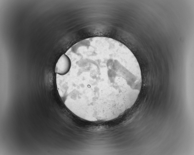 X0000093520646200711091740