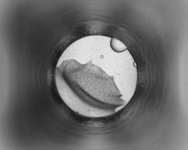 X0000093520648200711091740