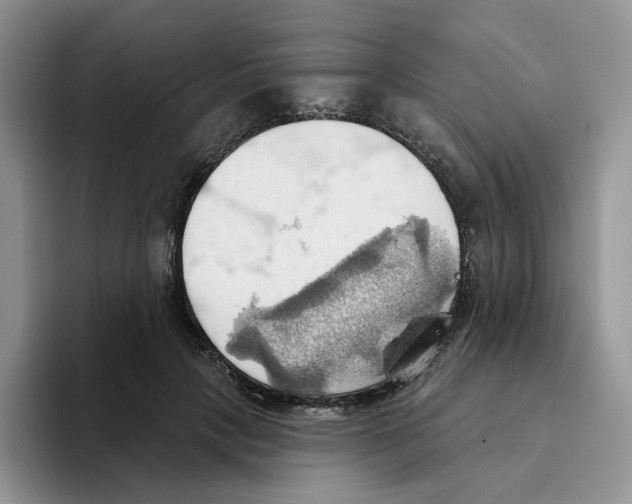 X0000093520649200711091740