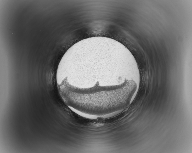 X0000093520651200711091740