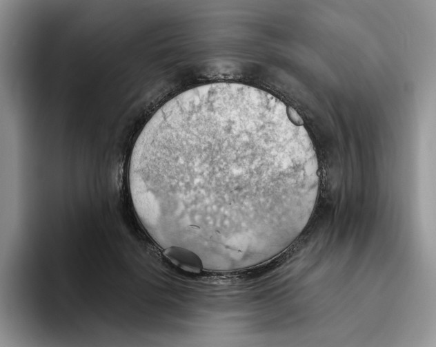 X0000093520652200711091740