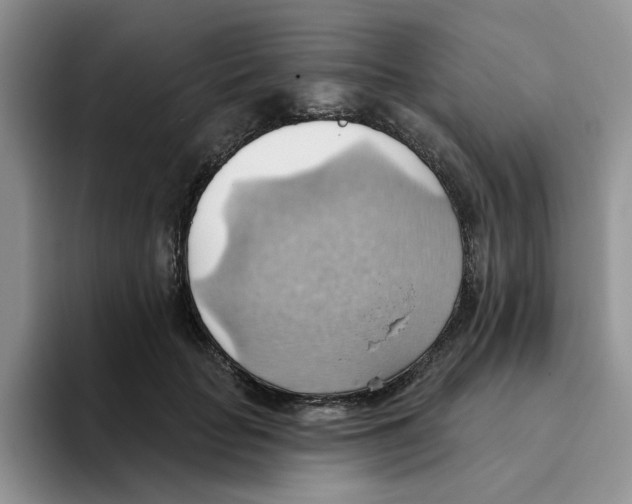 X0000093520653200711091740