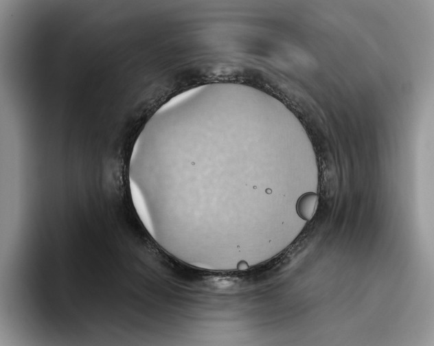 X0000093520654200711091740