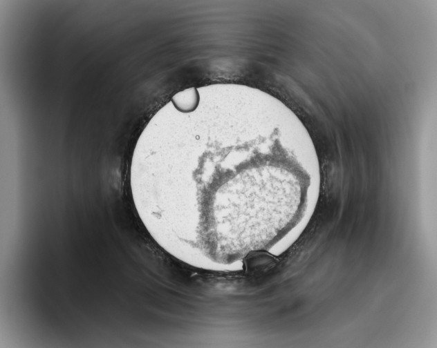 X0000093520655200711091740