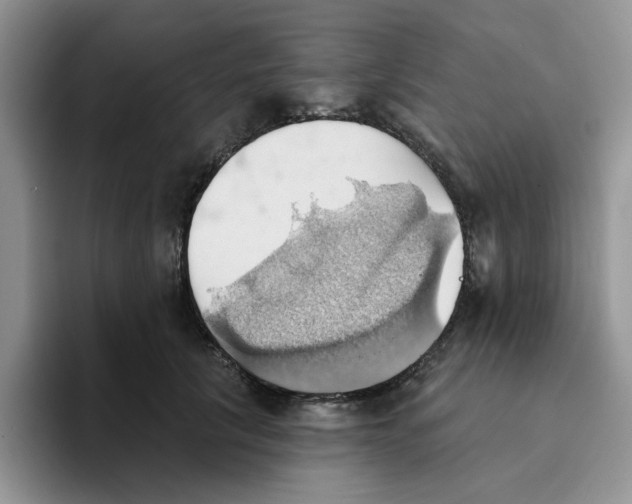 X0000093520657200711091740