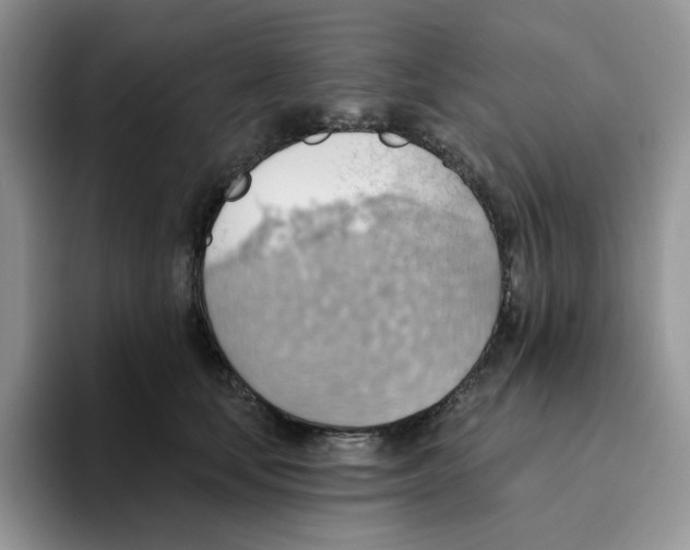 X0000093520659200711091740