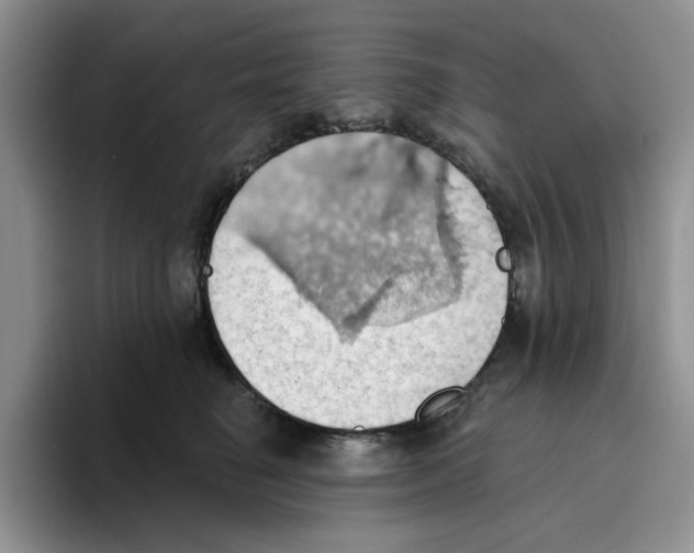 X0000093520662200711091740