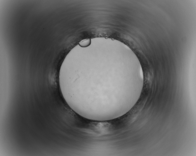 X0000093520663200711091740