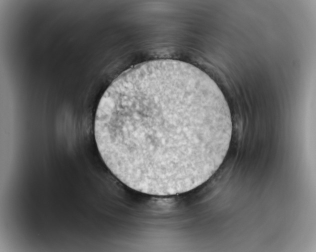 X0000093520665200711091740