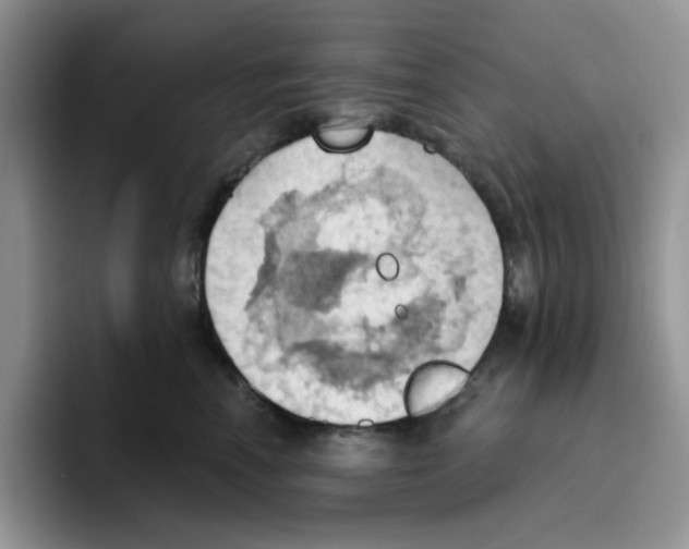 X0000093520666200711091740